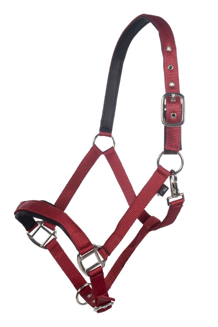 Rusty red breakaway halter for horses. Silver hardware.