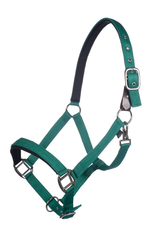 Kelly green breakaway halter for horses.  Silver hardware.