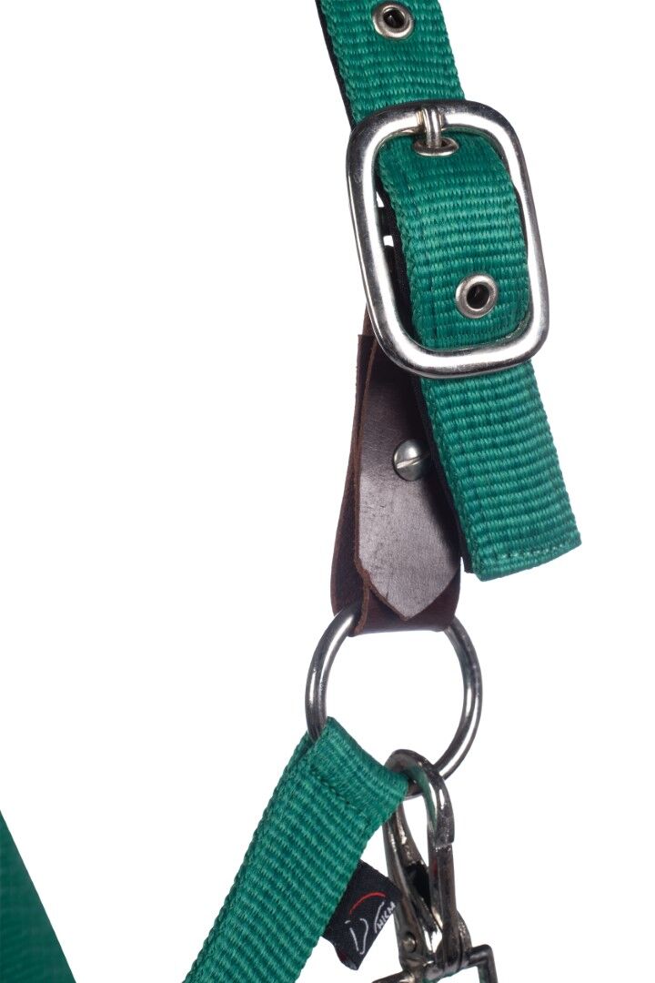 Close up of part of a nylon halter to show the leather breakaway piece