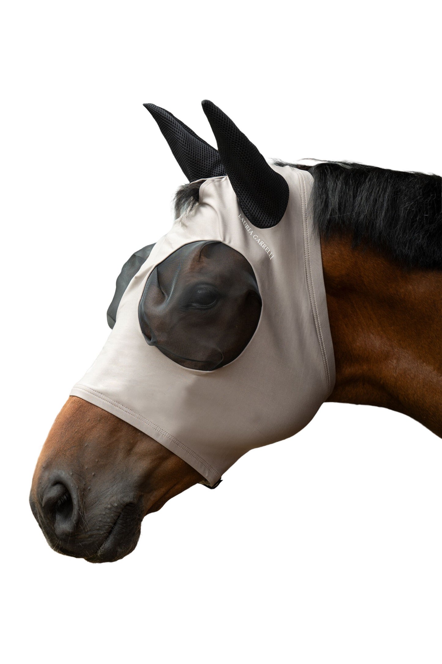 Bay horse wearing a taupe fly mask