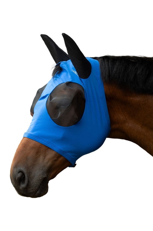 Bay horse wearing a blue fly mask
