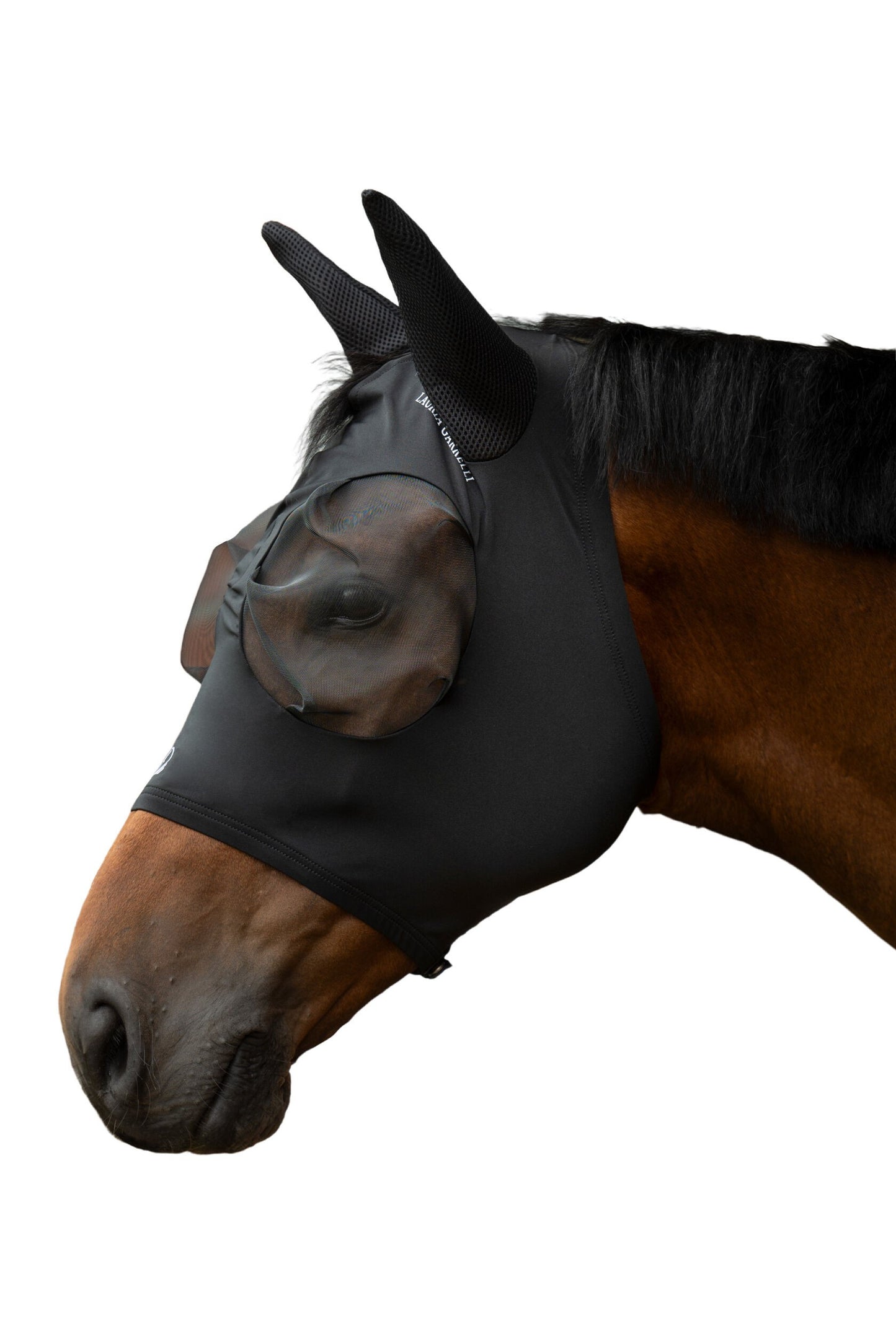 Bay horse wearing a black fly mask