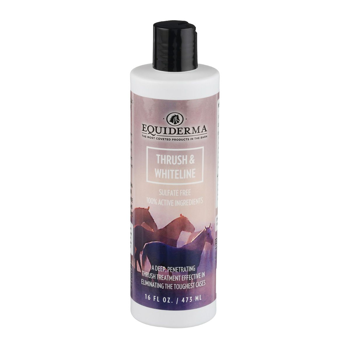 16 oz bottle of Equiderma Thrush & Whiteline lotion