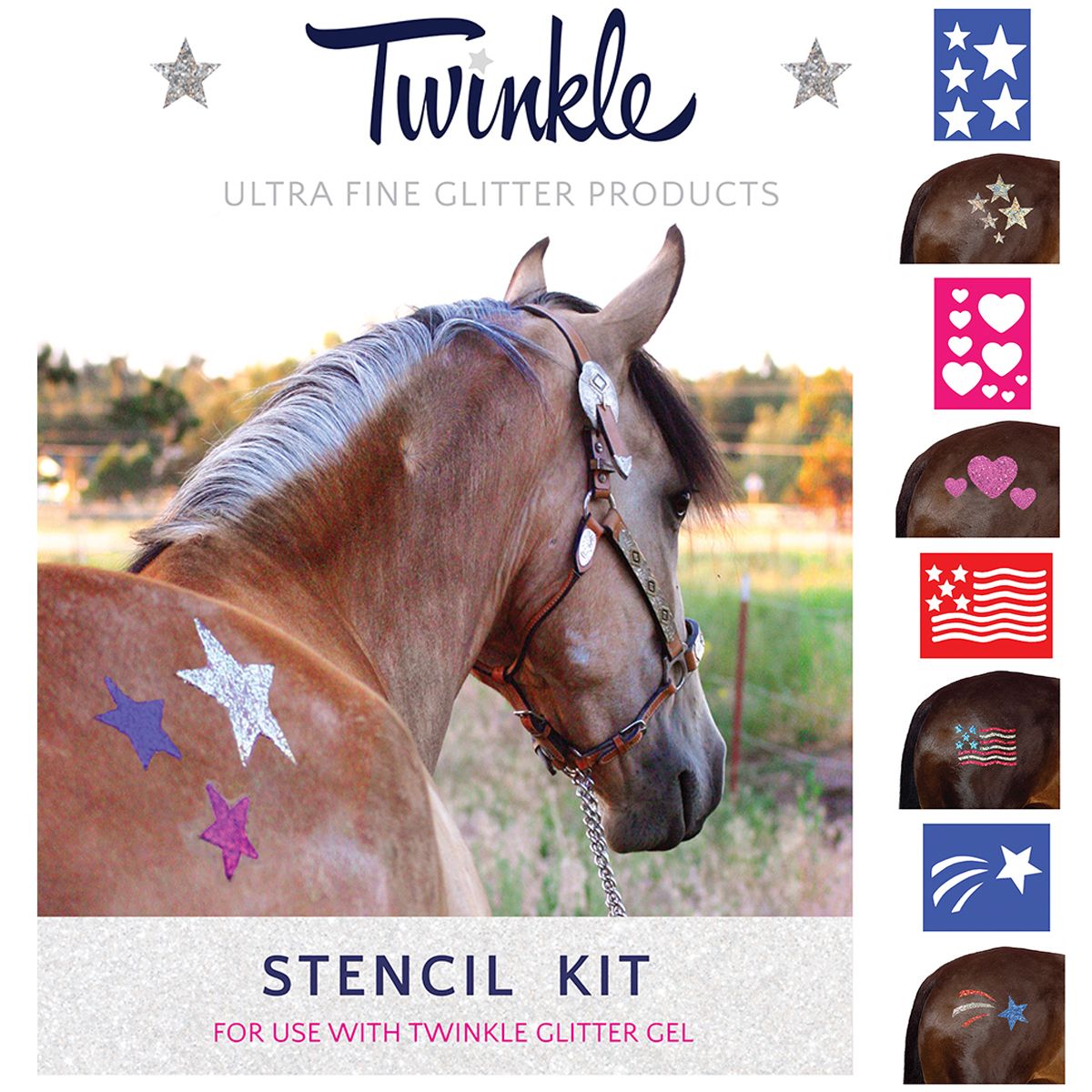 Twinkle Stencil Kit for horse decoration