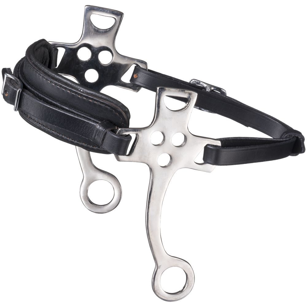 black leather hackamore with silver shanks
