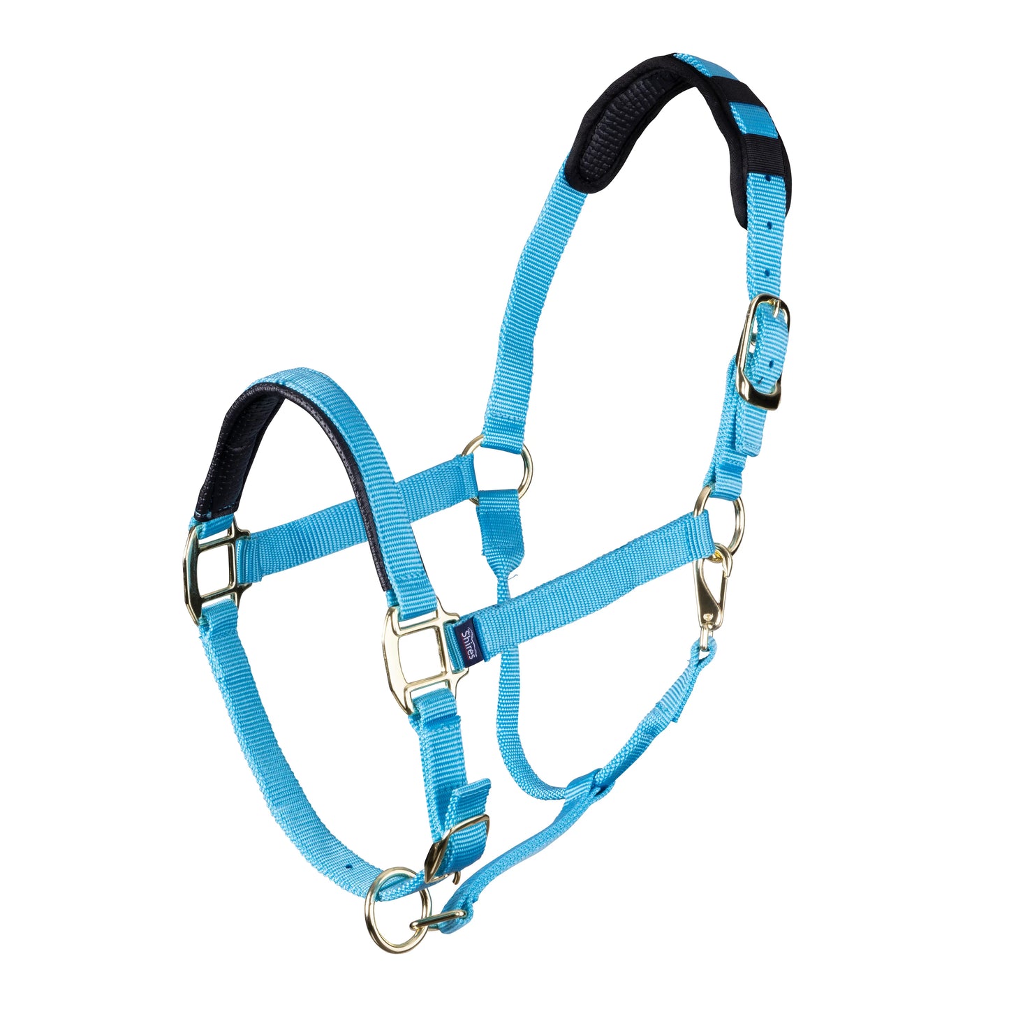 Blue horse halter with black padding on a white background