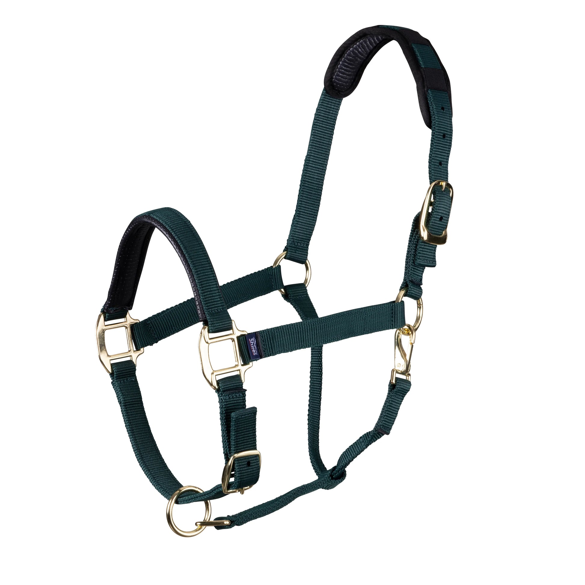 Dark green horse halter with gold hardware on a white background