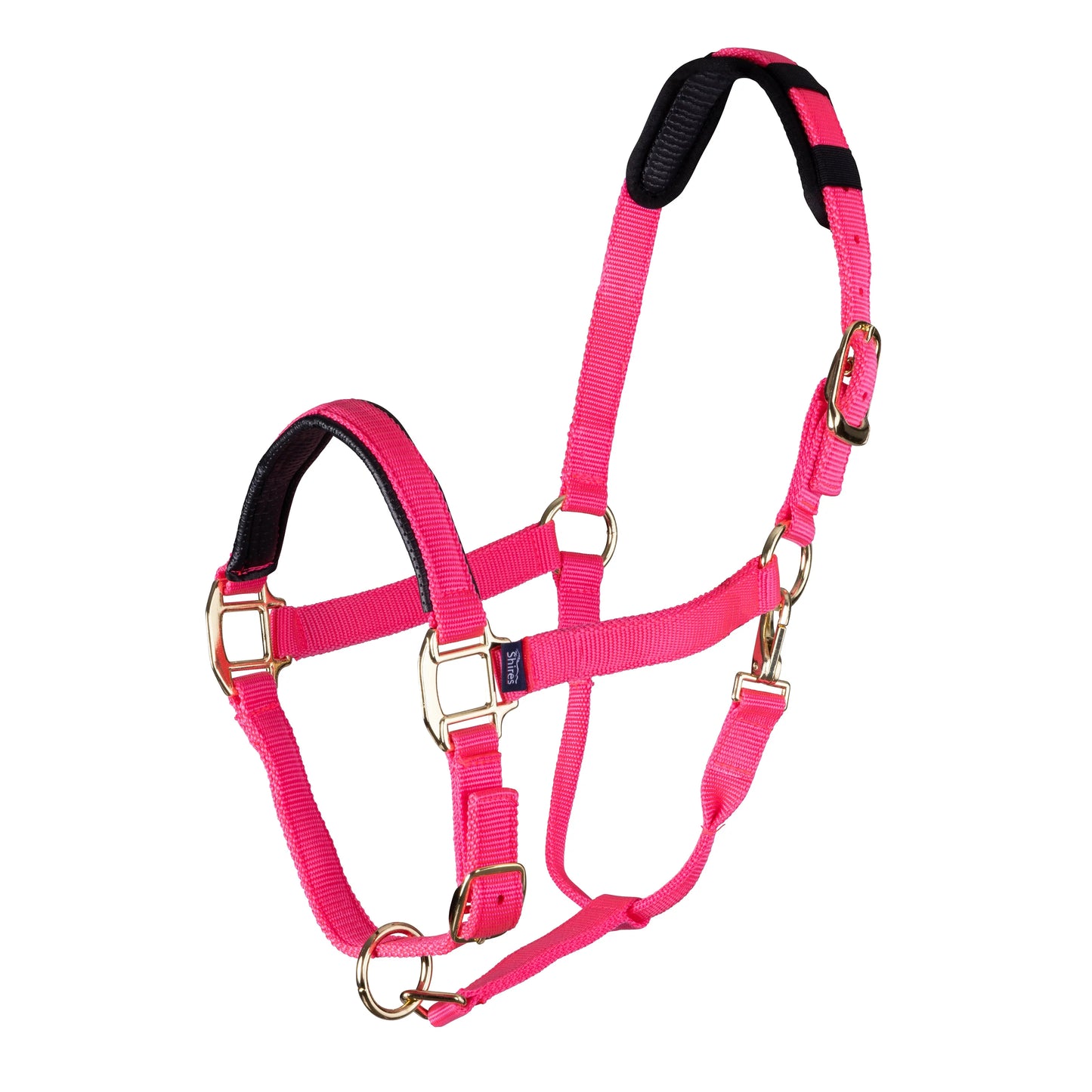 Pink horse halter with black padding on a white background