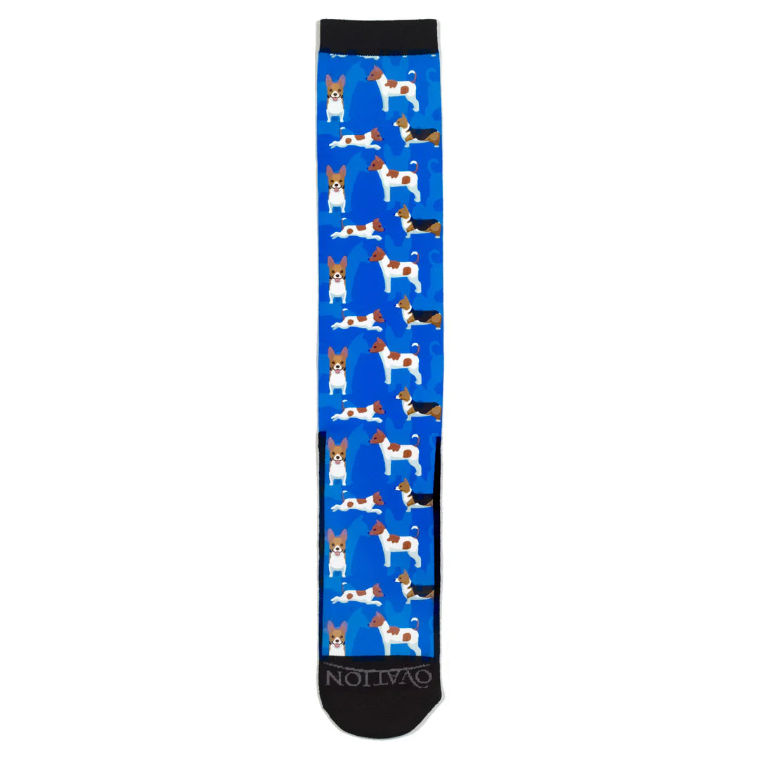 Boot sock with dog pattern on a blue background