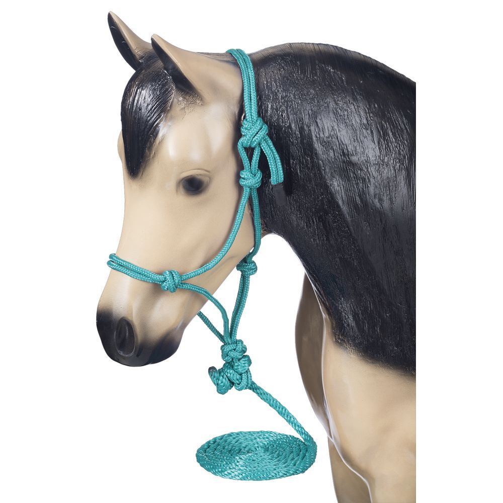 Model buckskin horse wearing a teal rope halter with lead