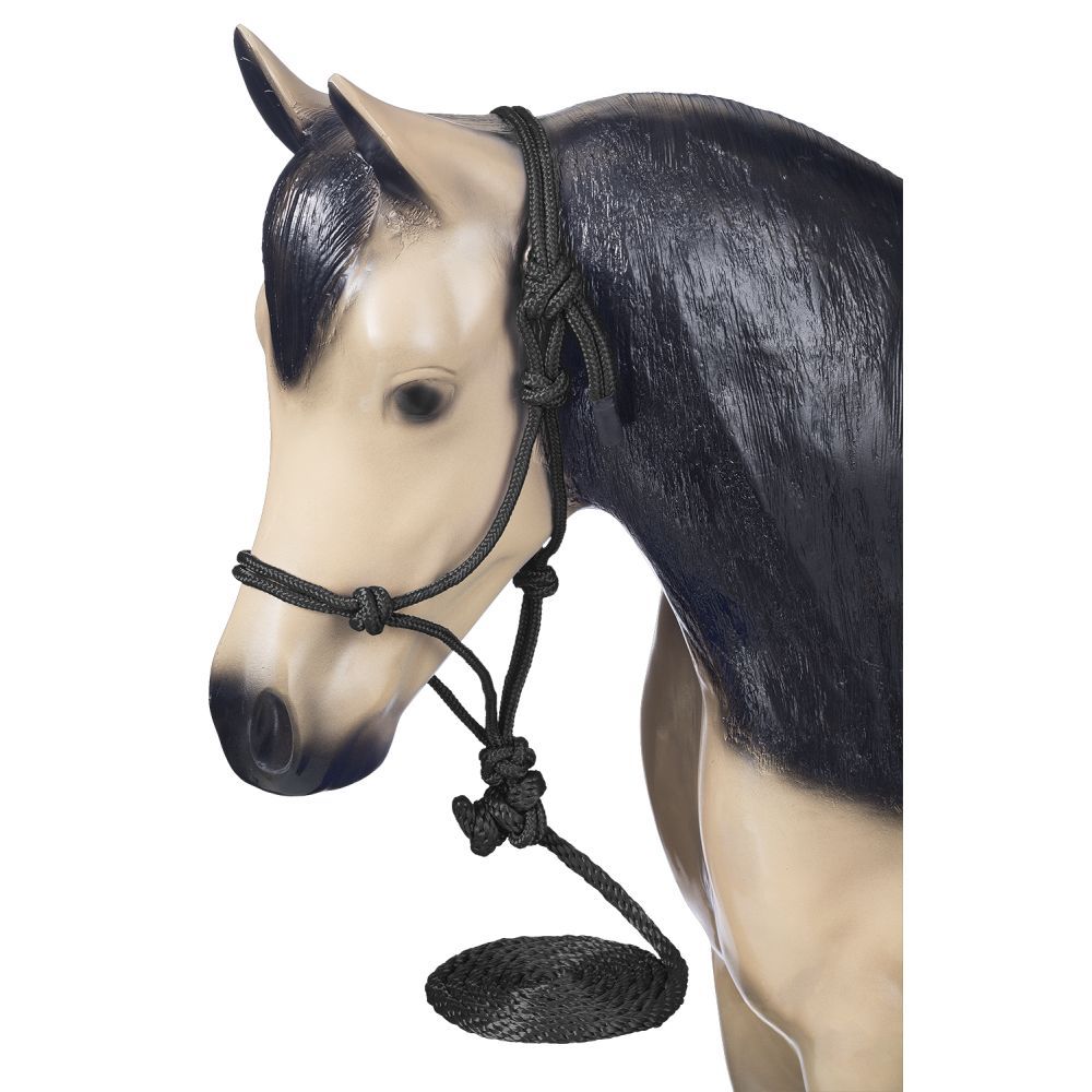 Model buckskin horse wearing a black rope halter with lead