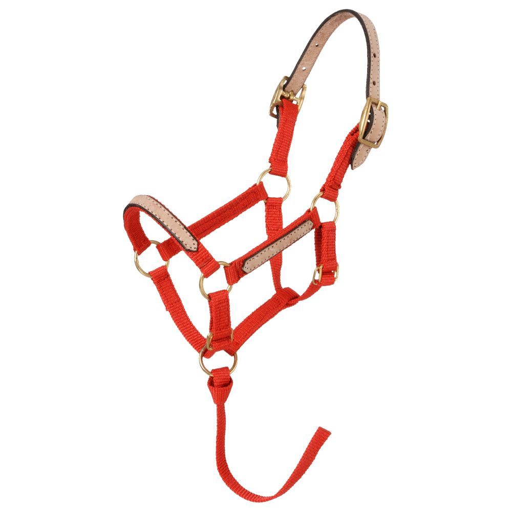 Red nylon halter with leather crown and accents.