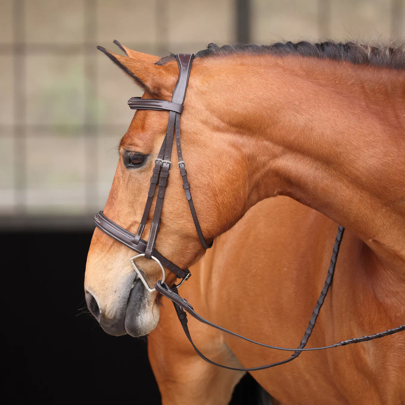 Light bay horse wearing an english bridle