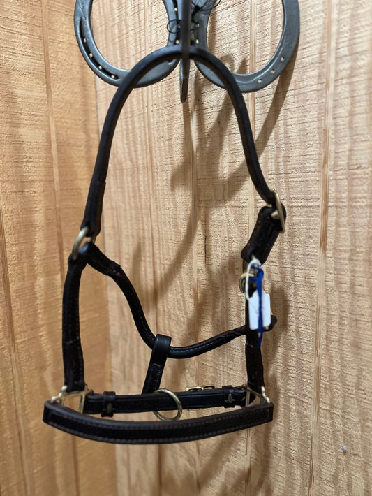 Brown leather halter hanging on a horseshoe rack with a rustic wood background.