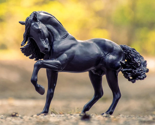 Fancy black model horse with flexed neck