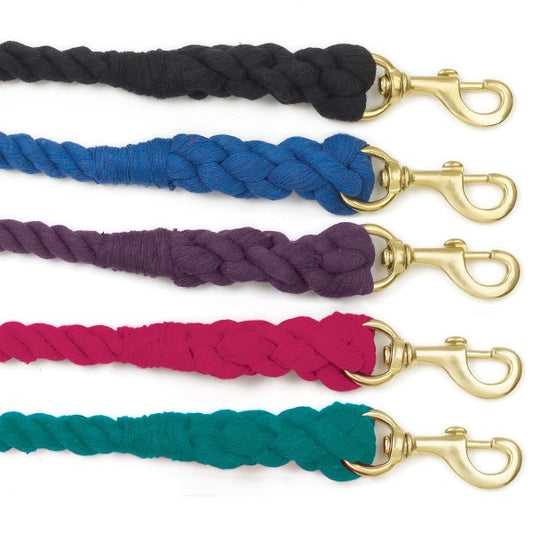 Five colored lead ropes with brass colored snaps.  Black, blue, purple, raspberry and green