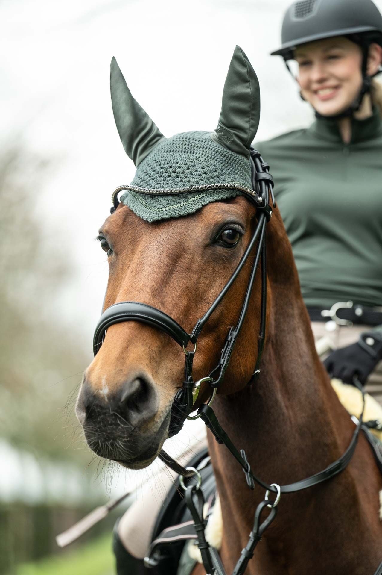 A bridled chestnut horse wearing a fly bonnet. Rider is also shown wearing a color coordinated shirt.