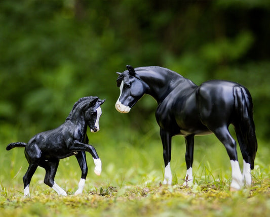 Black model horse with white socks shown with identical foal