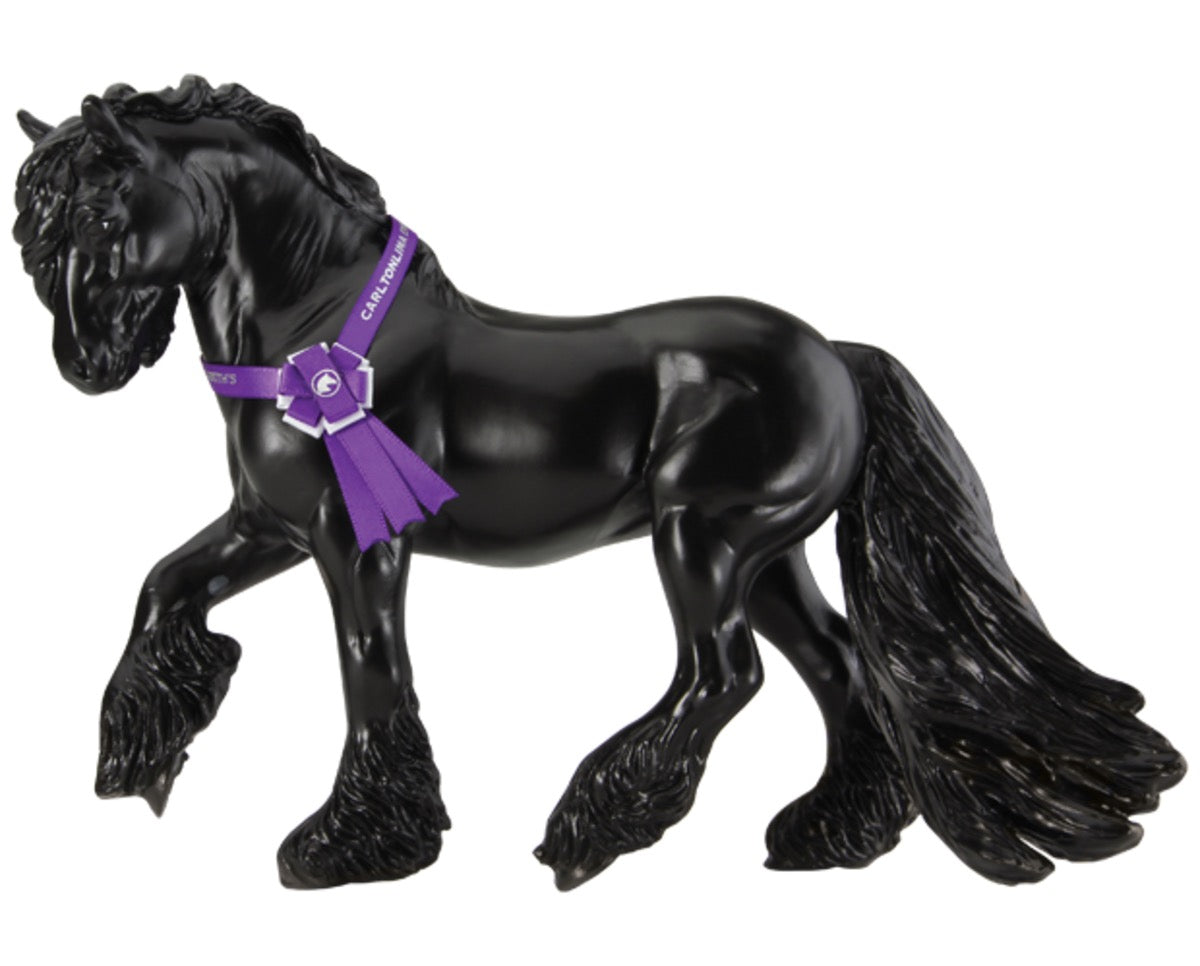 Black fancy horse wearing a purple sash