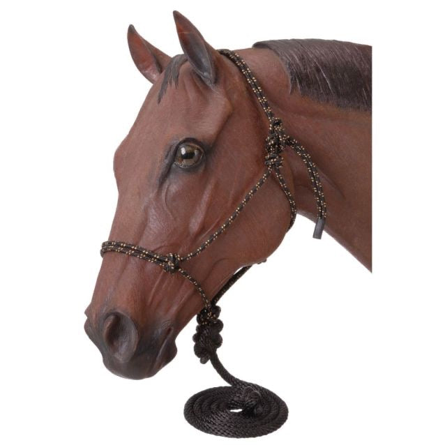 Model horse head with a black rope halter with lead rope