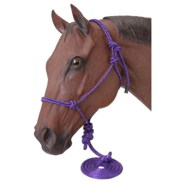 Model horse head with a purple rope halter with lead rope