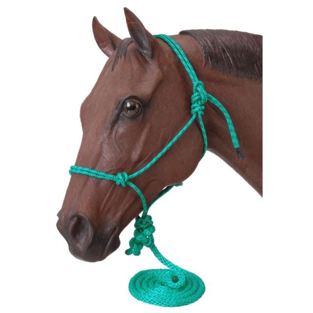 Model horse head with a turquoise rope halter with lead rope