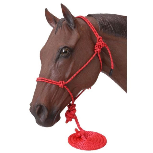 Model horse head with a red rope halter with lead rope