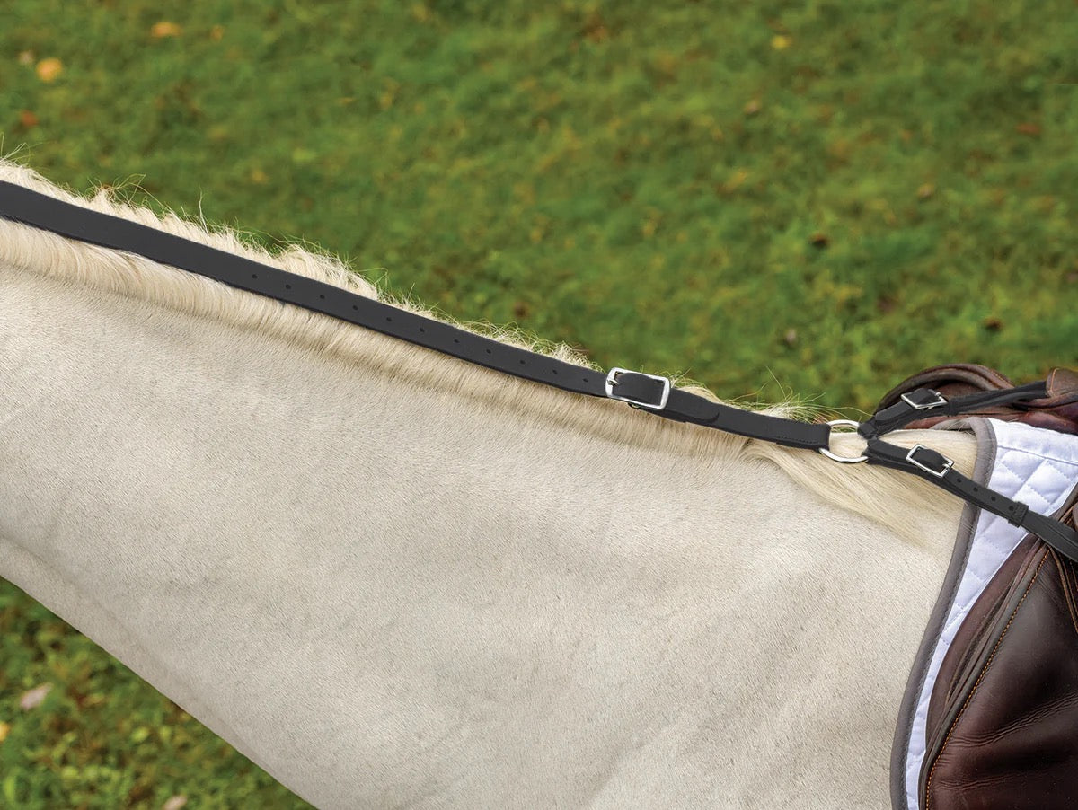 showing the top view of a horses neck with a leather daisy chain connected from the saddle to the poll.