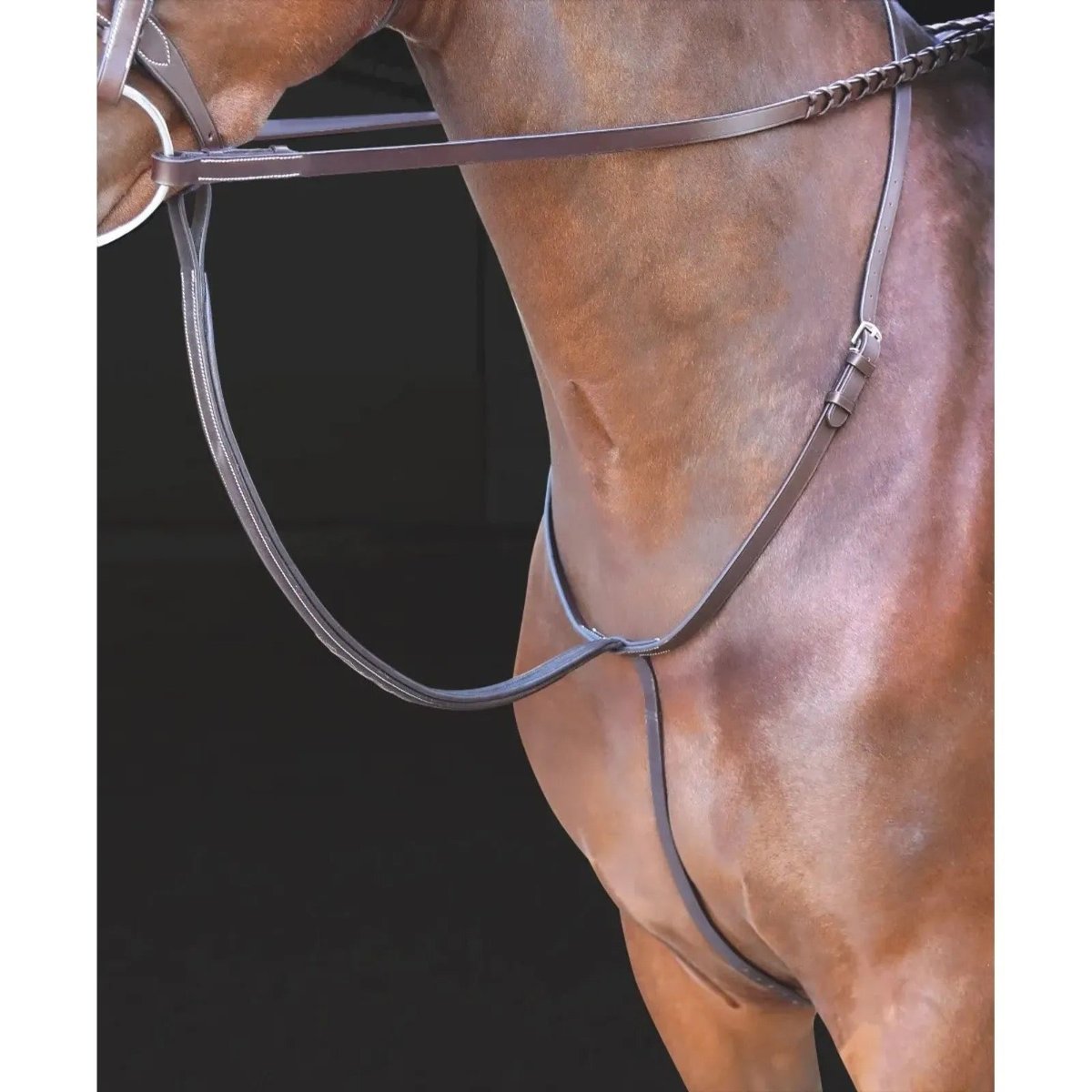 Neck and chest of a brown horse wearing a brown leather martingale