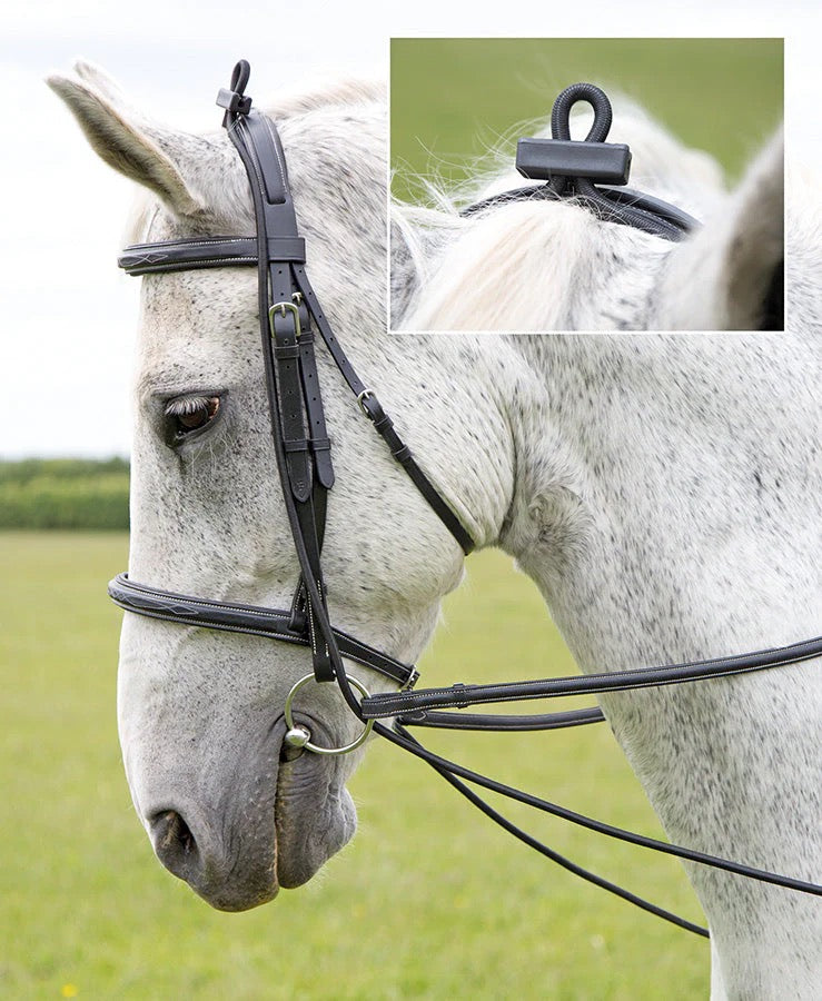Grey horse head and neck shown wearing a bridle and draw reins. close up of the horse's poll show how the elastic reins can be adjusted