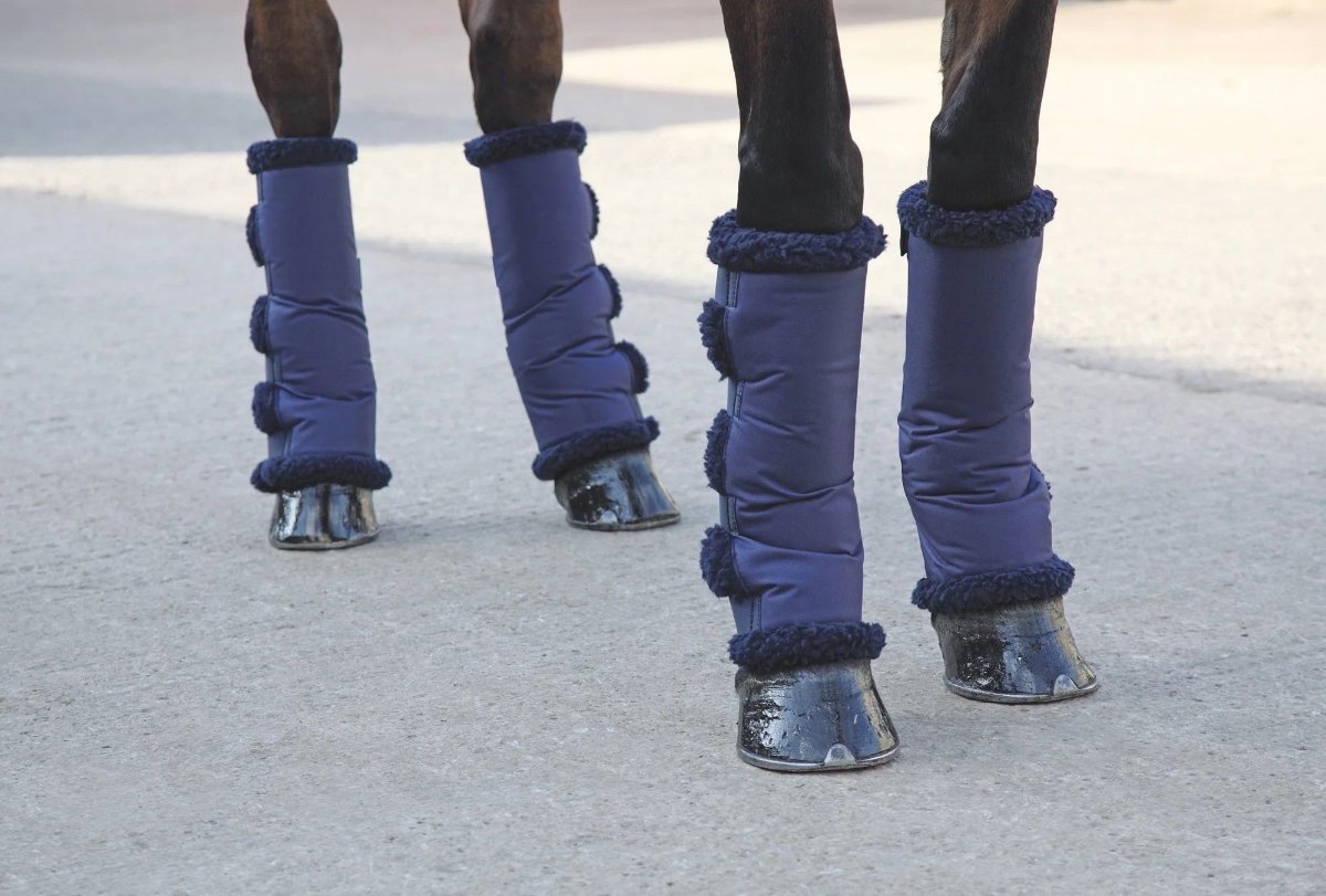 view of 4 horse legs wrapped in navy shipping boots showing a bit of navy fleece at top and bottom