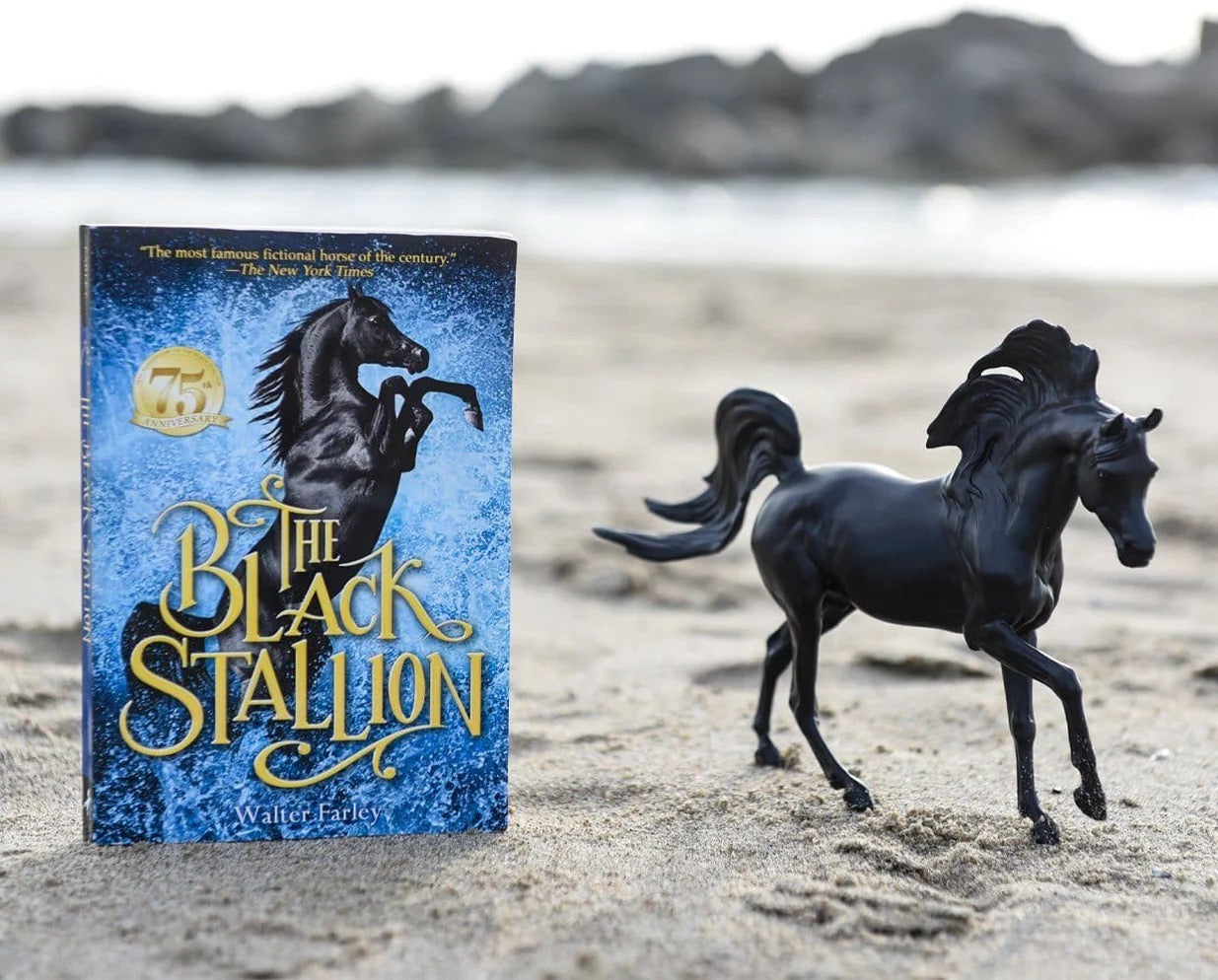 Walter Farley's The Black Stallion book on a sandy beach posed next to a black stallion model horse of about the same size