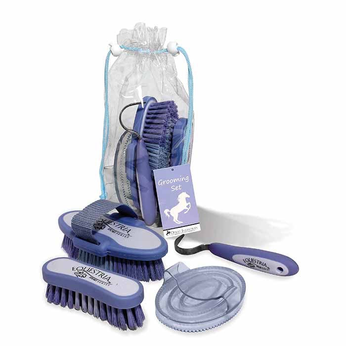 Equestrian grooming kit in clear plastic bag with it's pieces laid out