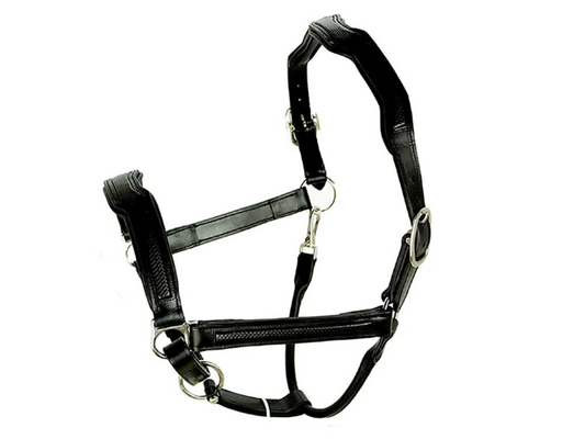 left side view of black horse halter on white background