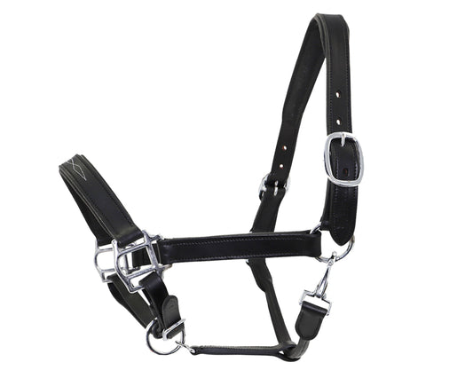left view of black leather horse halter on white background