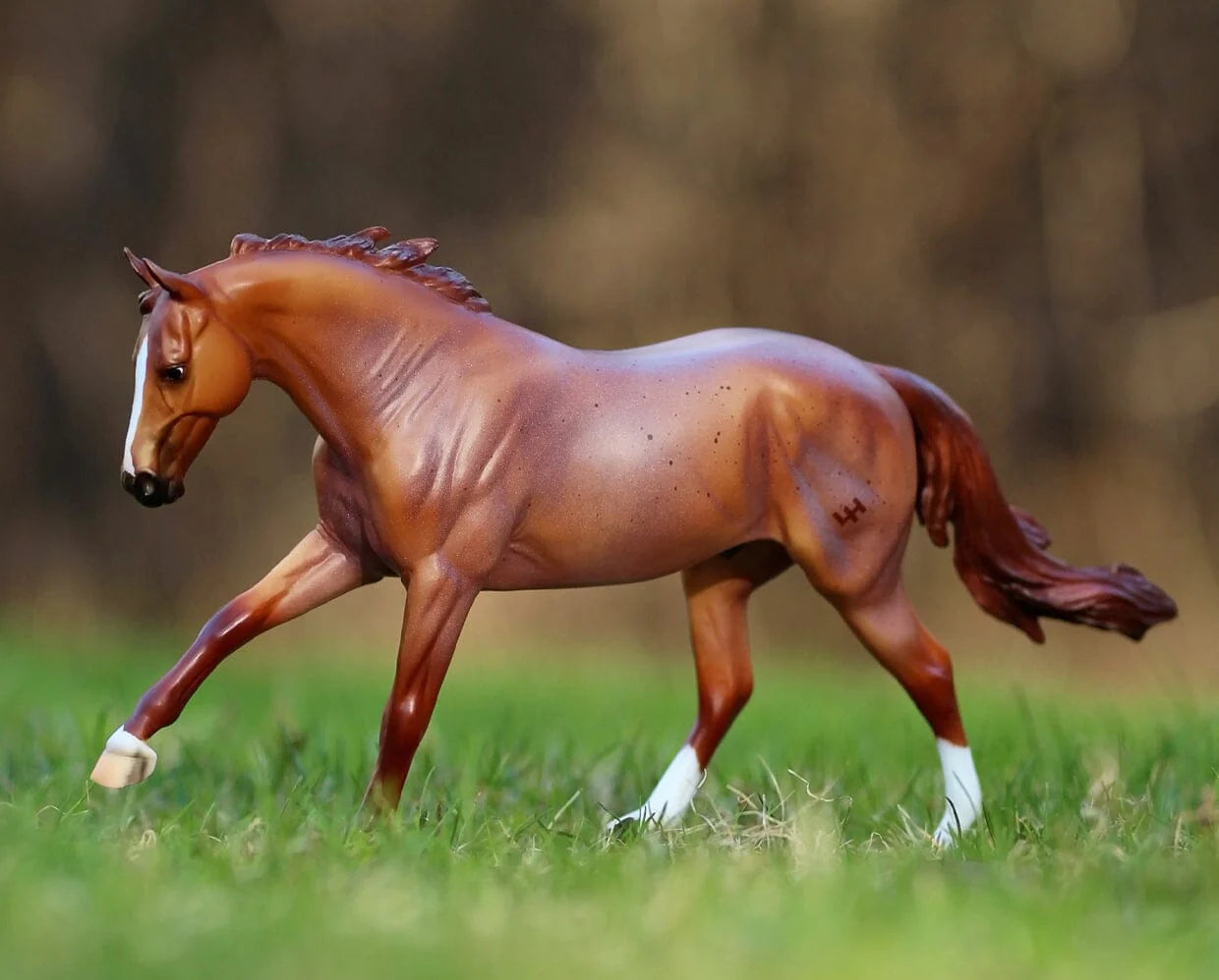 chestnut model horse with 3 white socks showing and white blaze