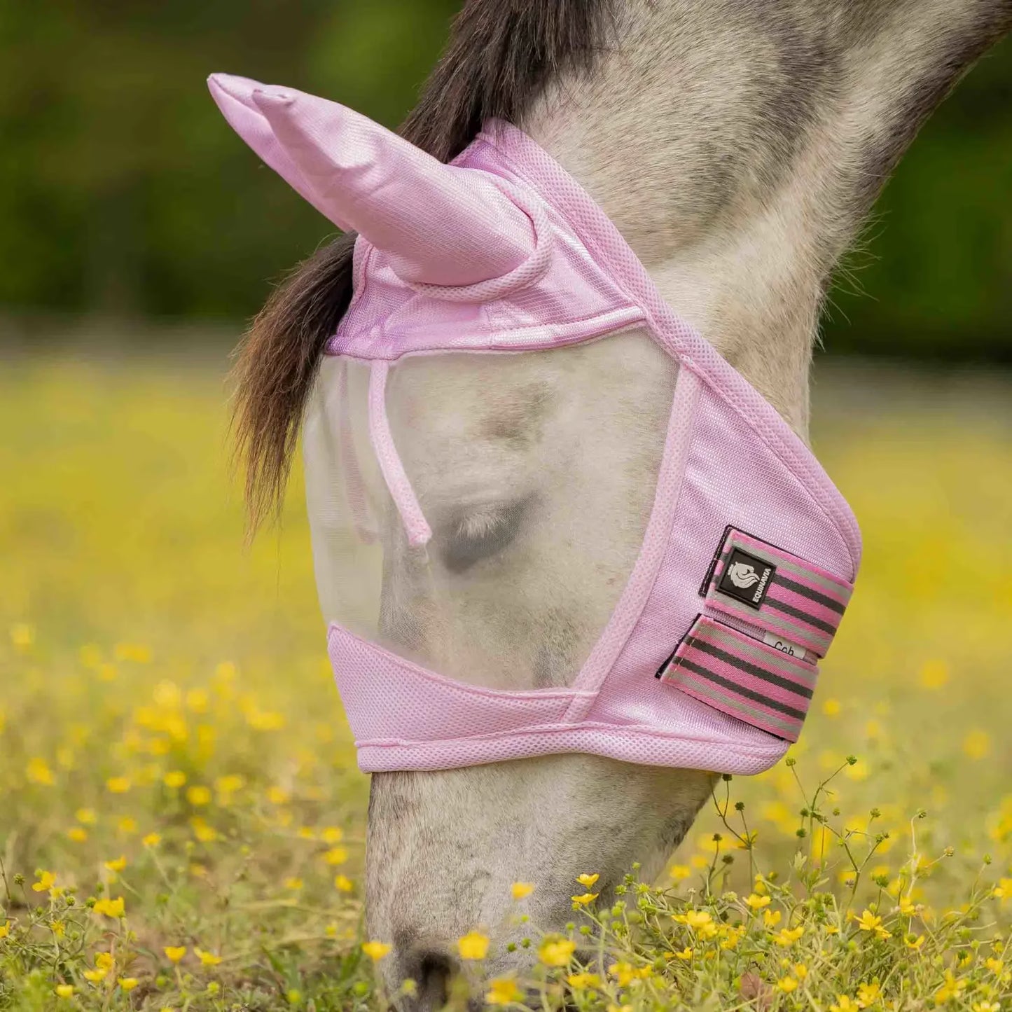 Horse wearing a pink fly mask in a field with yellow flowers