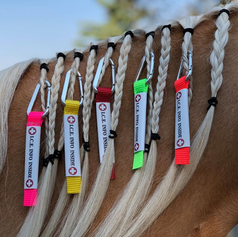 five different colored id tags hanging from a horses braided mane