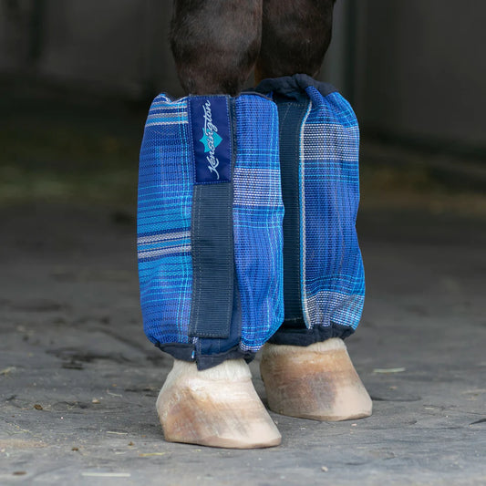 Horse's legs shown with Kensington Kentucky blue plaid bubble boots for fly protection.