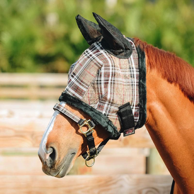 Burberry plaid fly mask with ears on a chestnut horse
