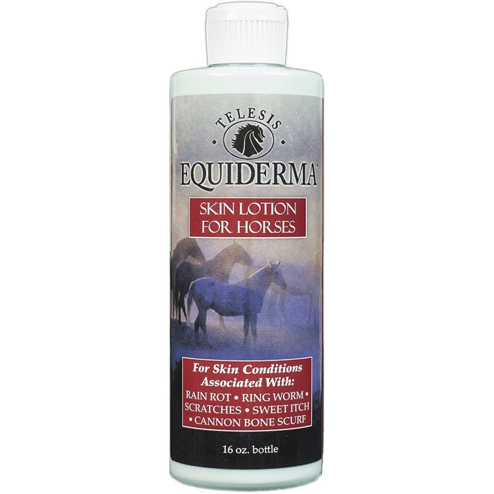 Showing a bottle of Equiderma Skin Lotion for Horses. 16 oz bottle shows horses standing in mist.