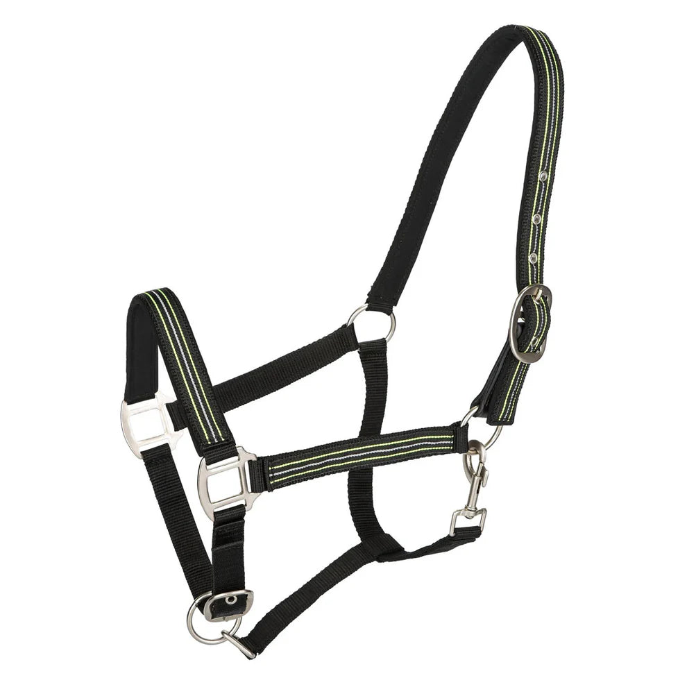 Black and green horse halter with metal hardware on a white background