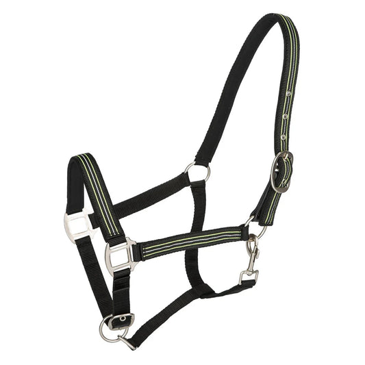 Black and green horse halter with metal hardware on a white background