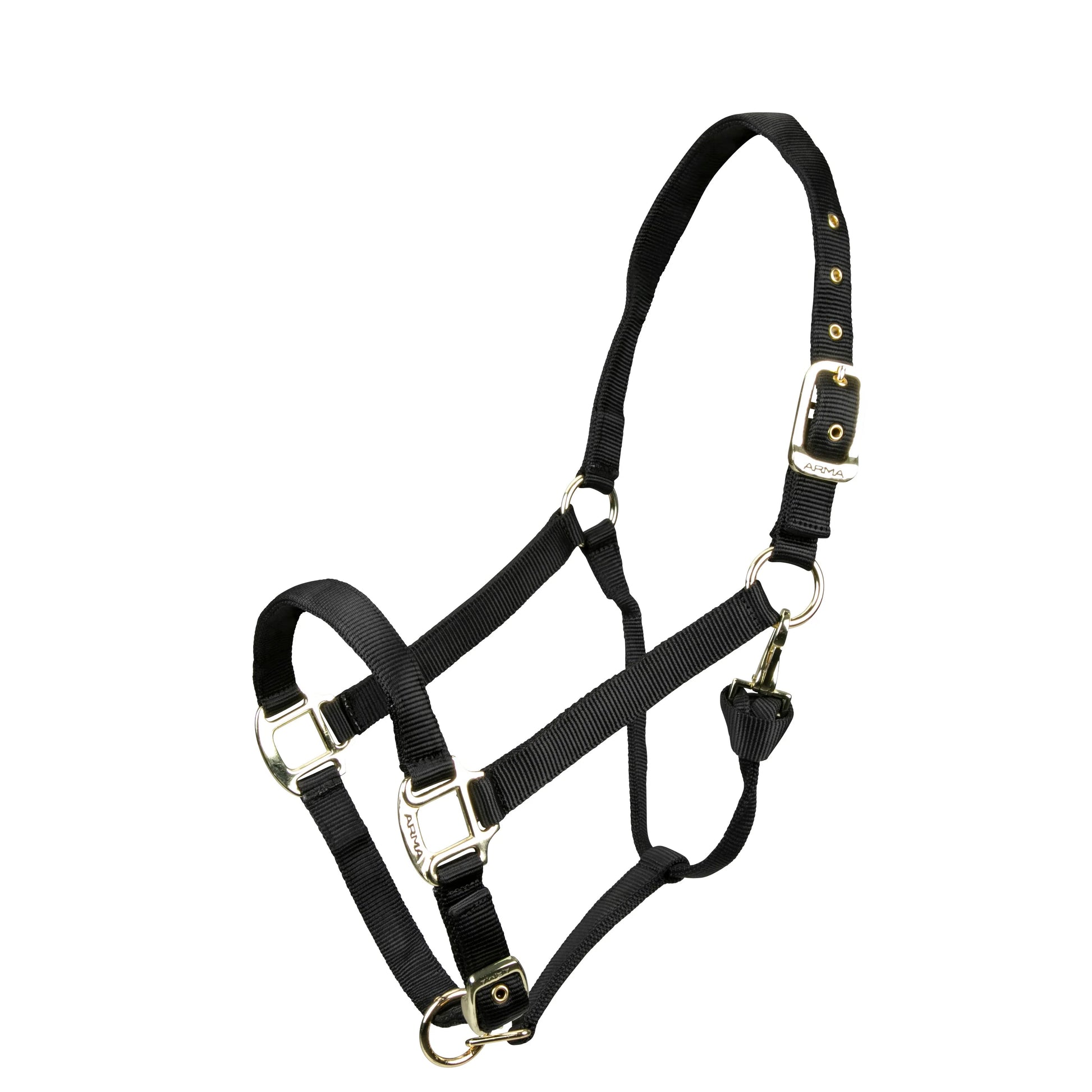Black horse halter with gold hardware on a white background