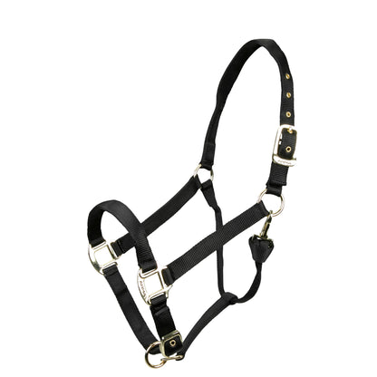Black horse halter with gold hardware on a white background
