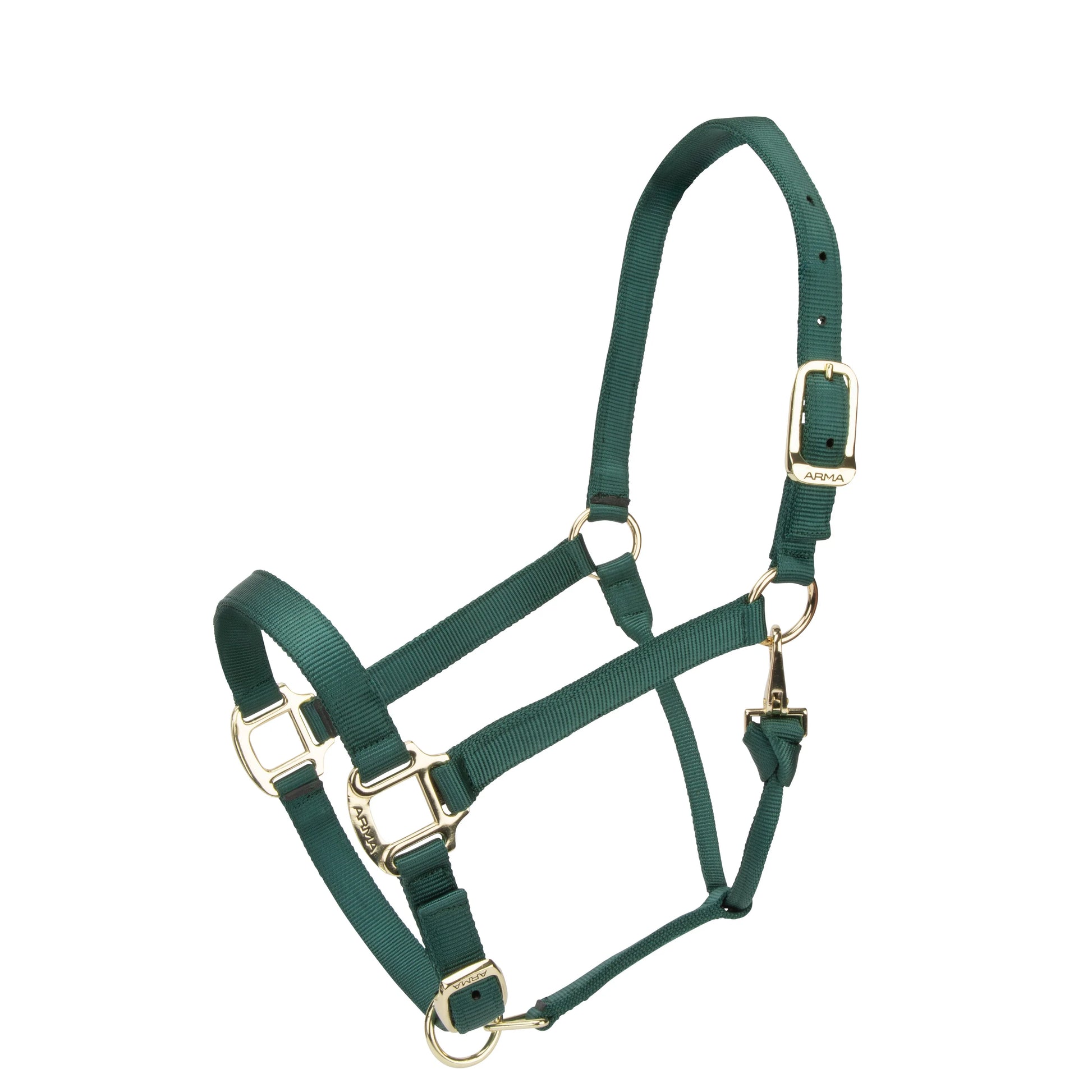 Green horse halter with gold hardware on a white background