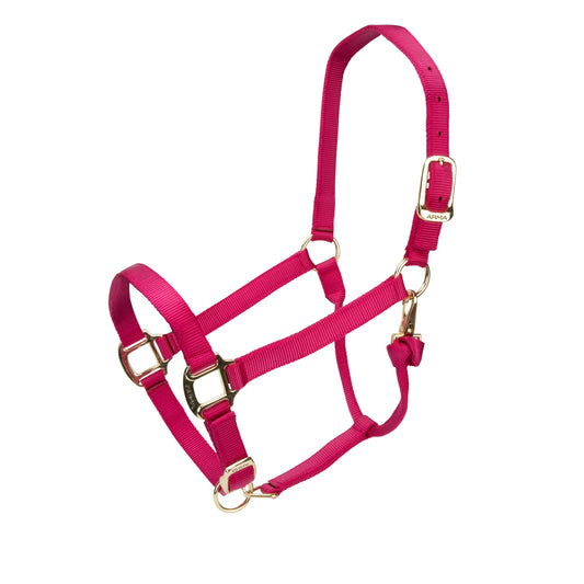 Pink horse halter with gold hardware on a white background
