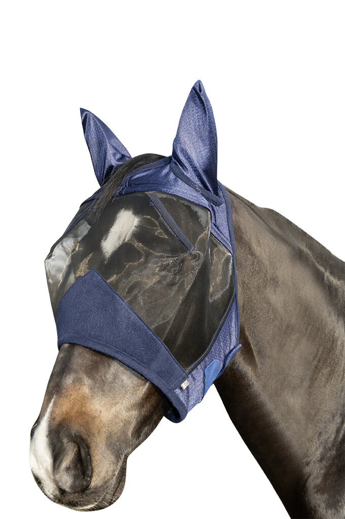 Horse wearing a blue fly mask with mesh covering eyes, nose, and ears on a white background.