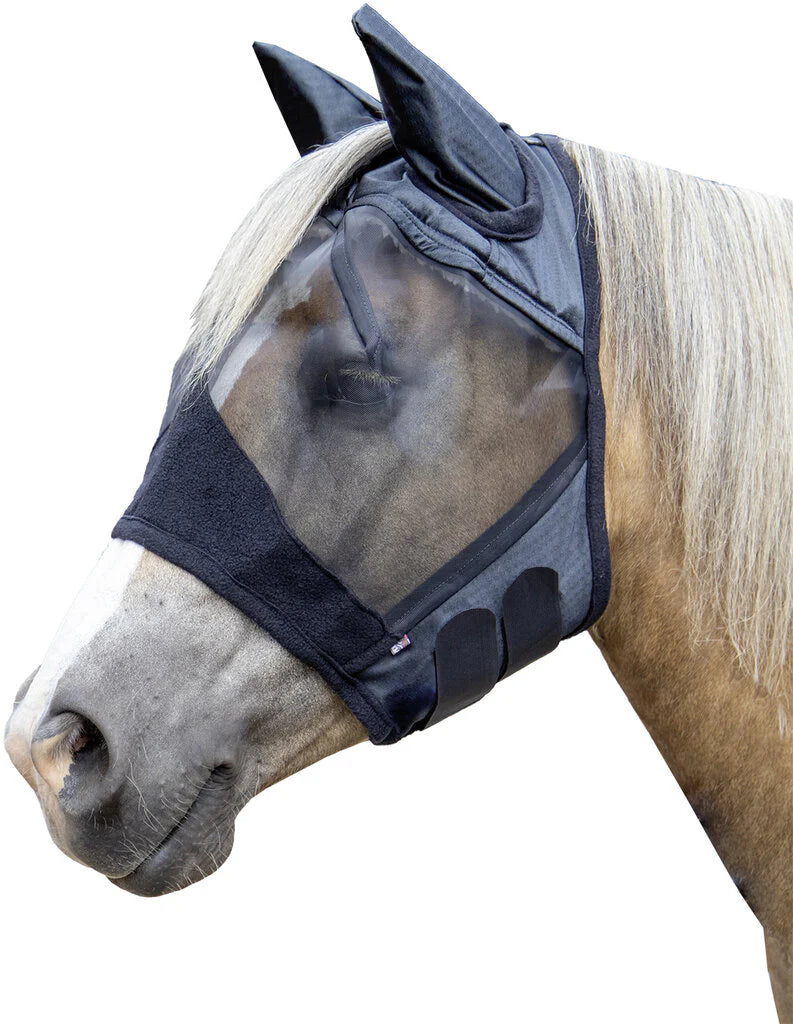 Horse wearing a black fly mask on a white background