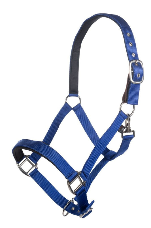 Royal blue breakaway halter for horses.  Silver hardware.